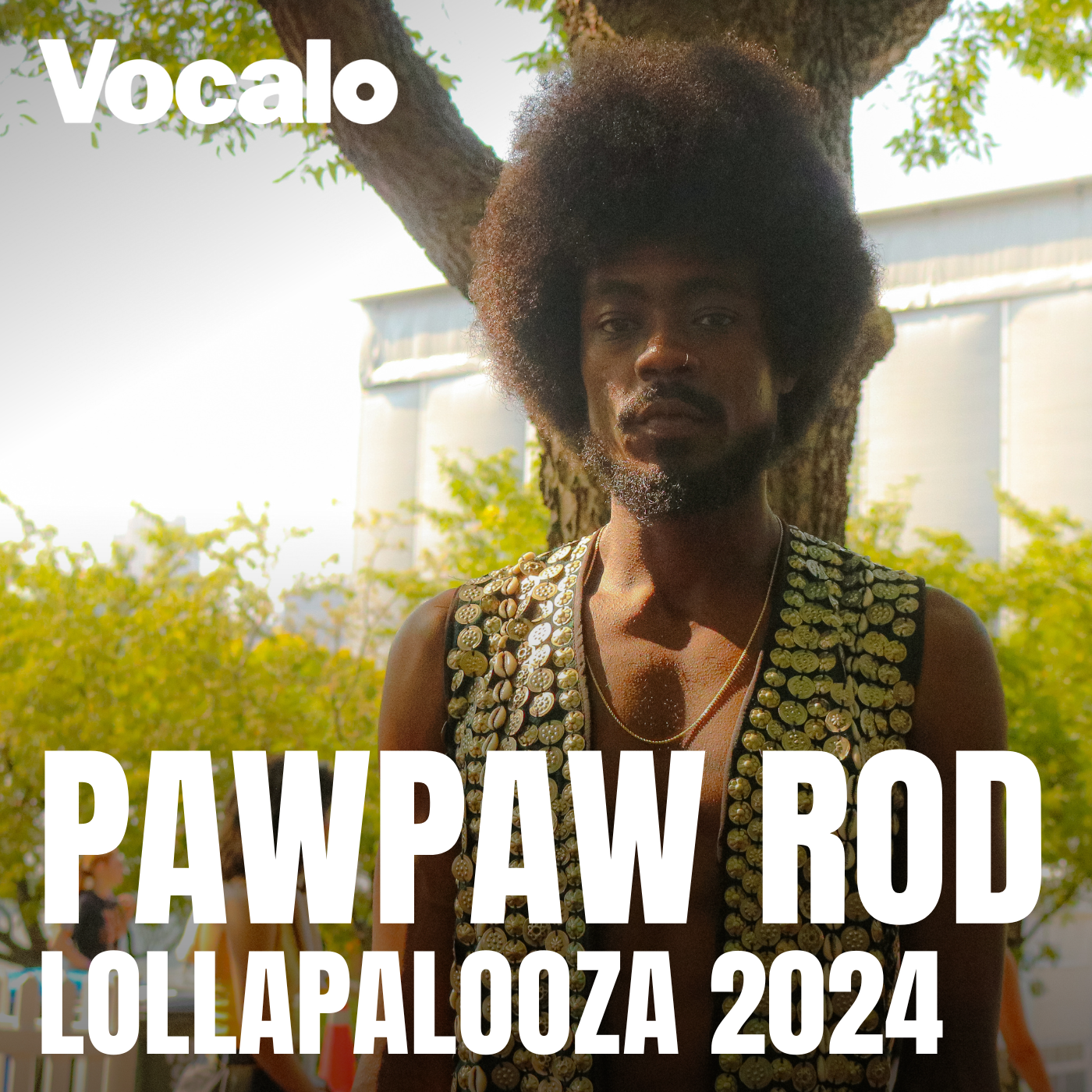 At Lollapalooza, PawPaw Rod looks to the past for innovation