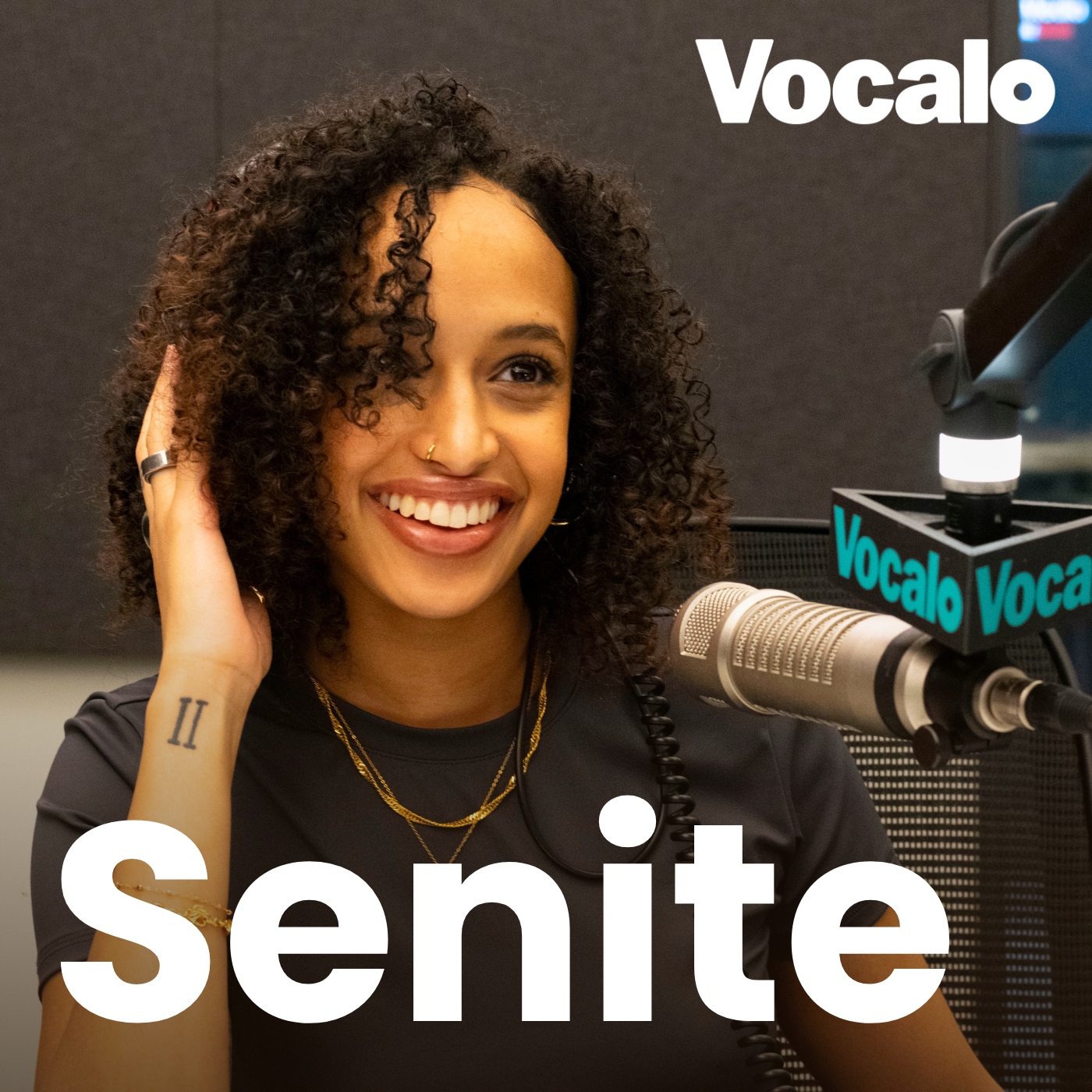 Chicago musician Senite doesn’t let anyone box her into one genre