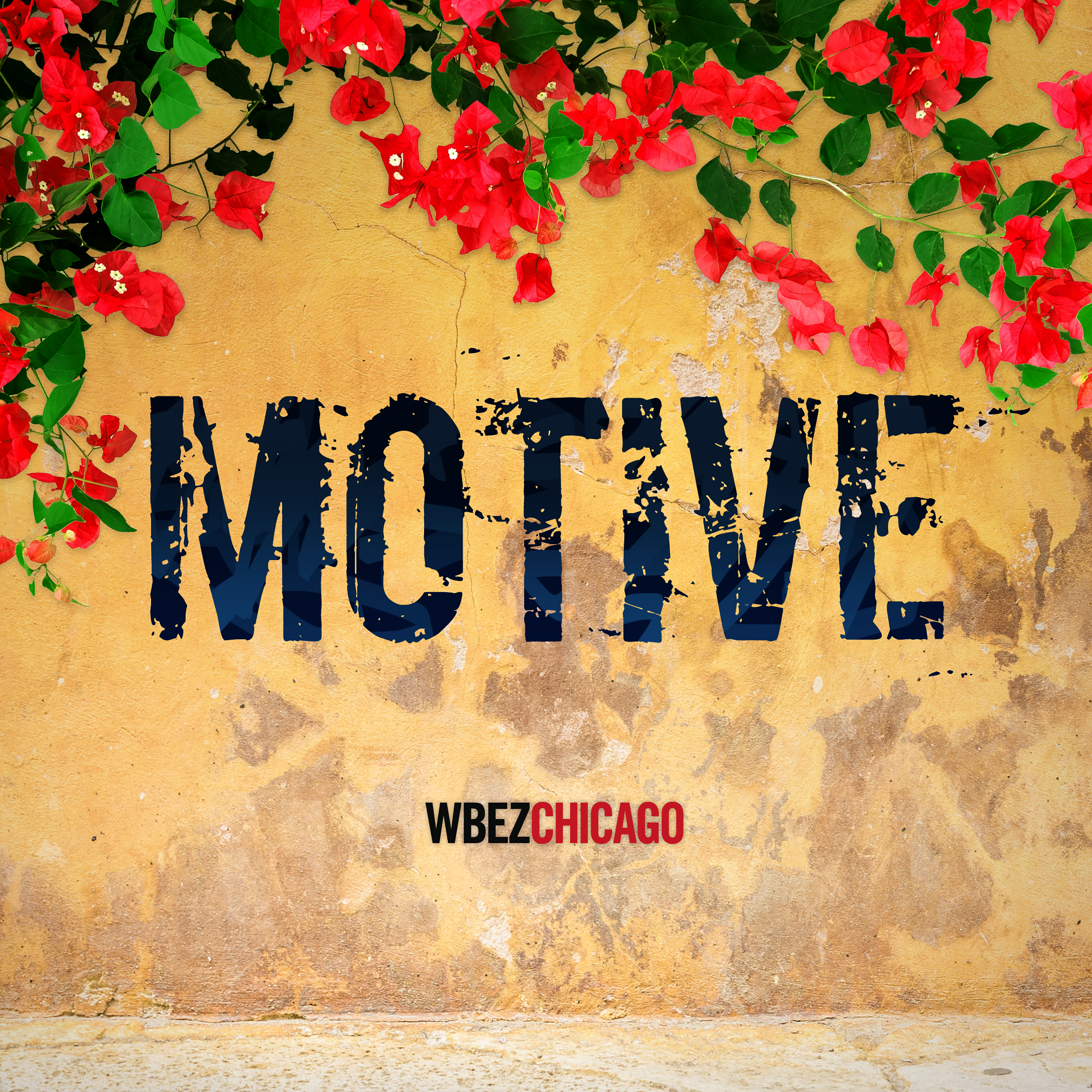 Episode Logo